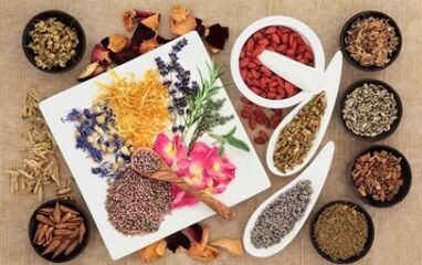 Phytotherapie, um ein Mitglied zu erhöhen